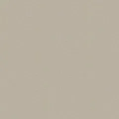 Taupe Mate | S 2005-Y20R